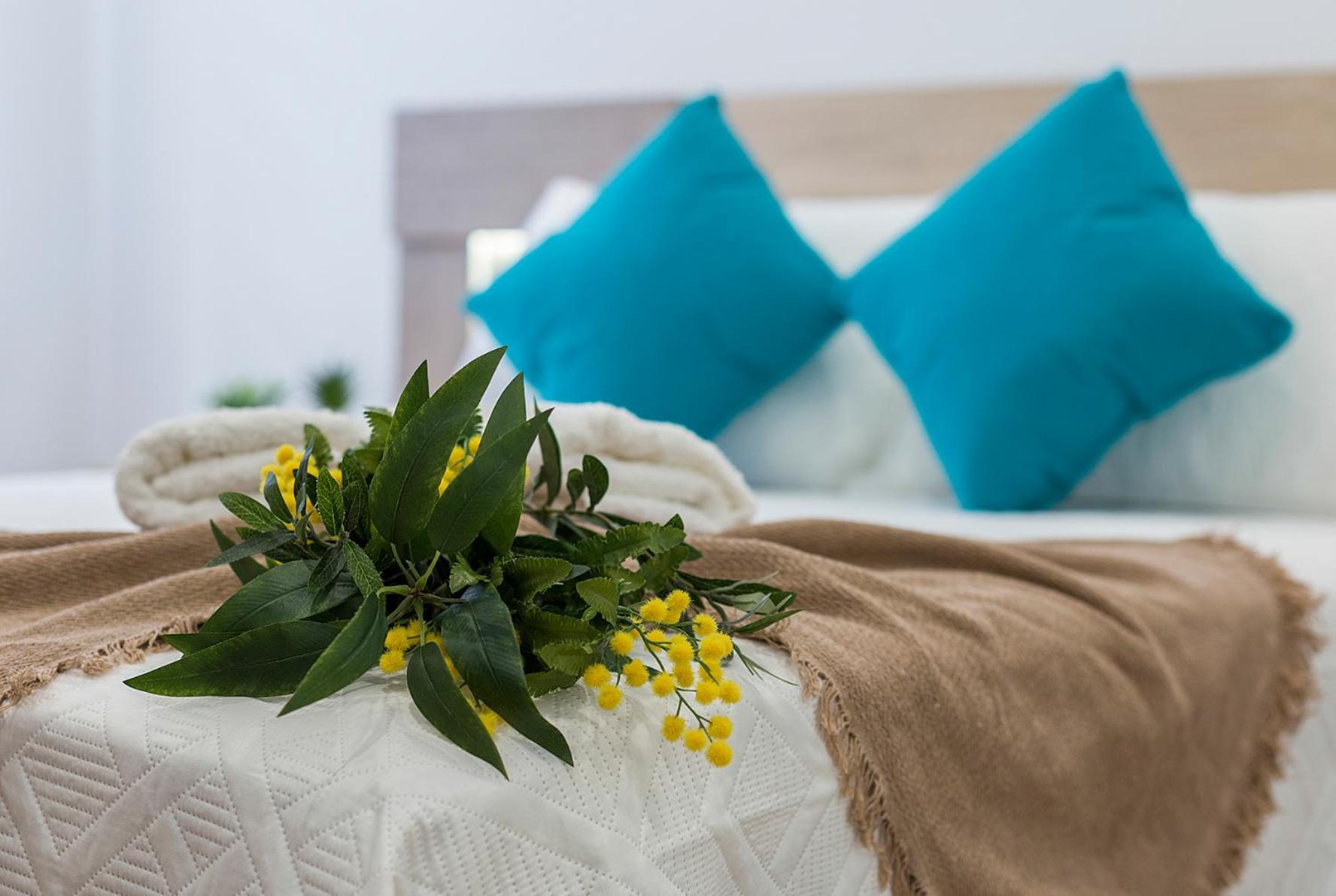 Playa Santa Maria Moderno 3 Rooms Cádiz Exteriér fotografie